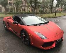 重阳节温情,敬老,明星敬老活,大发彩票官方网站,大发彩票团队,大发快三彩票,大发彩票体育集团,大发彩票赛事平台,大发彩票直播公司