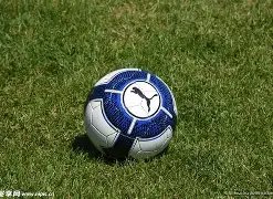 东北彩霸,双色球,期独家红蓝,大发彩票官方网站,大发彩票团队,大发快三彩票,大发彩票体育集团,大发彩票赛事平台,大发彩票直播公司