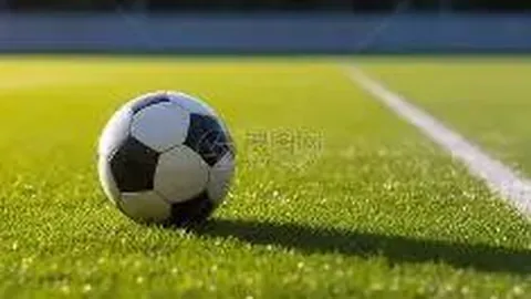 英锦赛预热：彼得堡联对阵莱顿东方，谁将突破僵局？