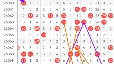 2026年05期大乐透专家推荐：3D过滤缩水分析，百位十位个