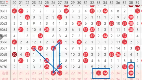 第2026028期 2026028期双色球专家推荐：质合分析