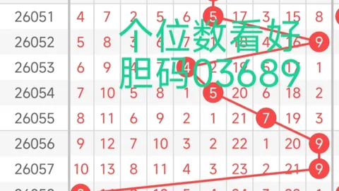 2026年大乐透067期专家复式组选推荐及质合前区十码分析