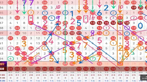 2026146期 2026年146期亦枫排列三独家解析：必杀号码2，金胆9防不住